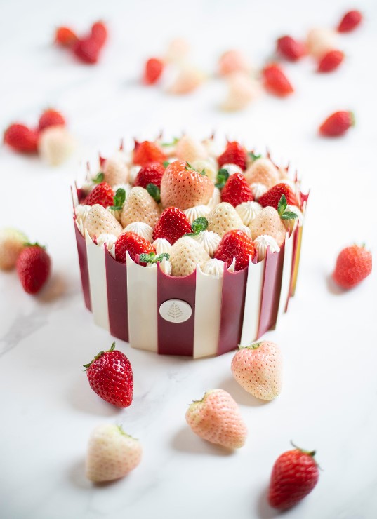 화이트 딸기 시즈널 케이크